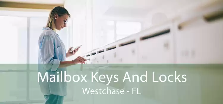 Mailbox Keys And Locks Westchase - FL