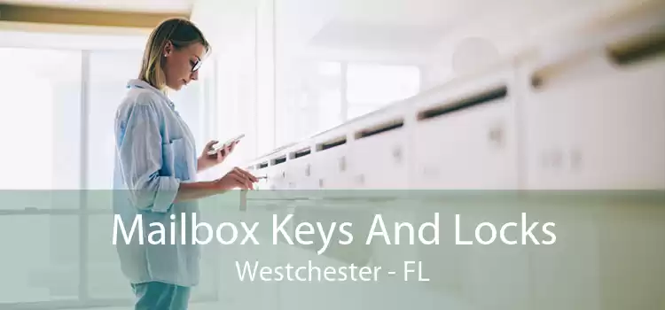 Mailbox Keys And Locks Westchester - FL