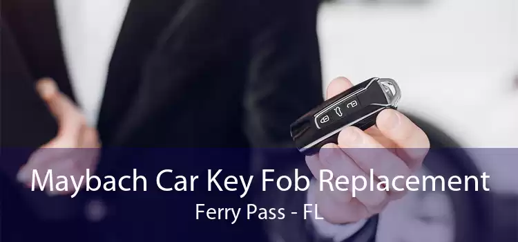 Maybach Car Key Fob Replacement Ferry Pass - FL