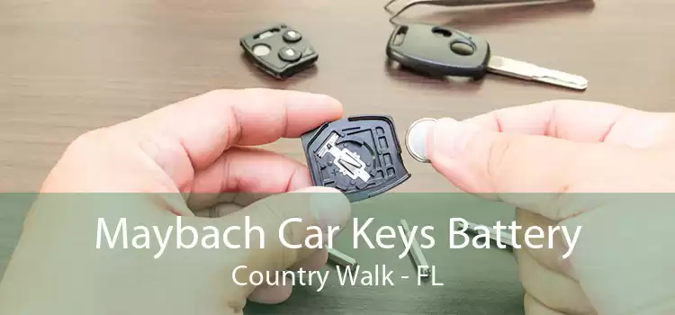 Maybach Car Keys Battery Country Walk - FL