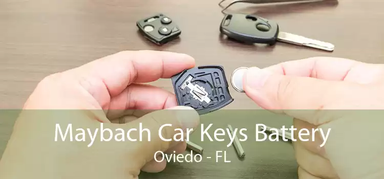 Maybach Car Keys Battery Oviedo - FL