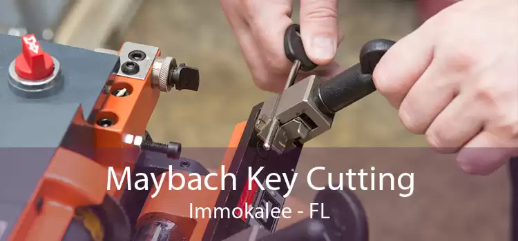 Maybach Key Cutting Immokalee - FL