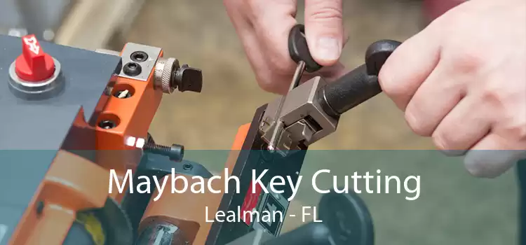 Maybach Key Cutting Lealman - FL