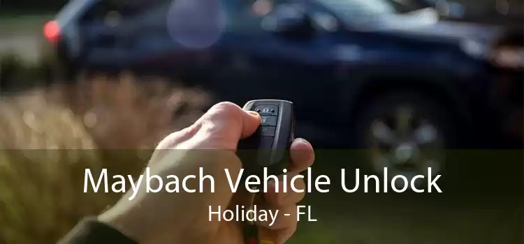 Maybach Vehicle Unlock Holiday - FL