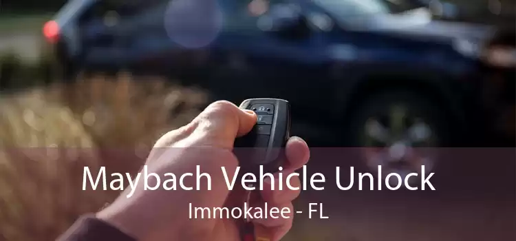 Maybach Vehicle Unlock Immokalee - FL