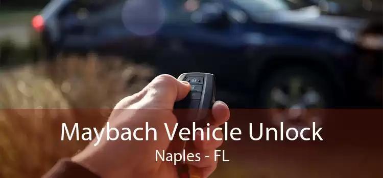 Maybach Vehicle Unlock Naples - FL