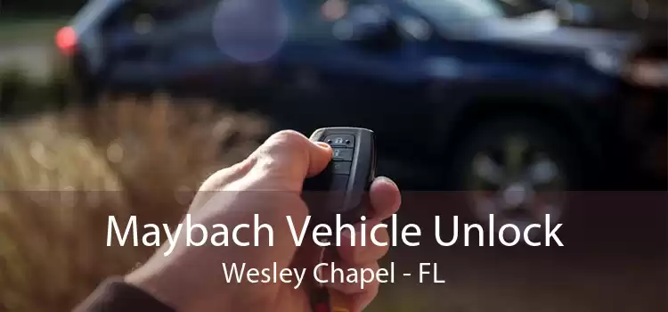 Maybach Vehicle Unlock Wesley Chapel - FL