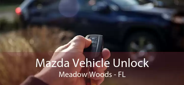 Mazda Vehicle Unlock Meadow Woods - FL
