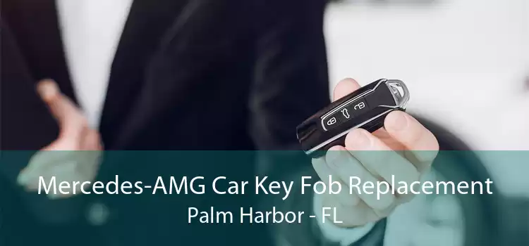 Mercedes-AMG Car Key Fob Replacement Palm Harbor - FL