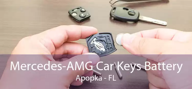 Mercedes-AMG Car Keys Battery Apopka - FL