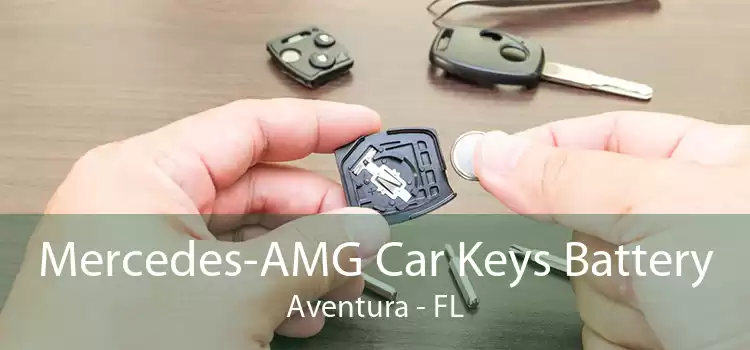 Mercedes-AMG Car Keys Battery Aventura - FL