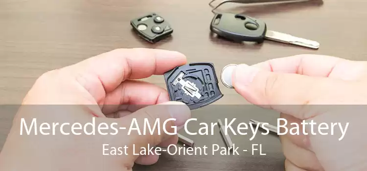 Mercedes-AMG Car Keys Battery East Lake-Orient Park - FL