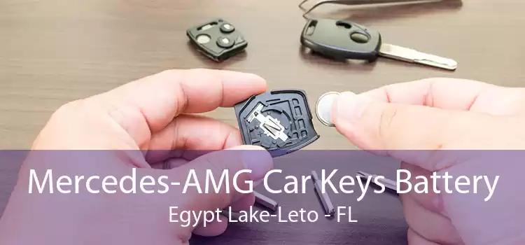 Mercedes-AMG Car Keys Battery Egypt Lake-Leto - FL