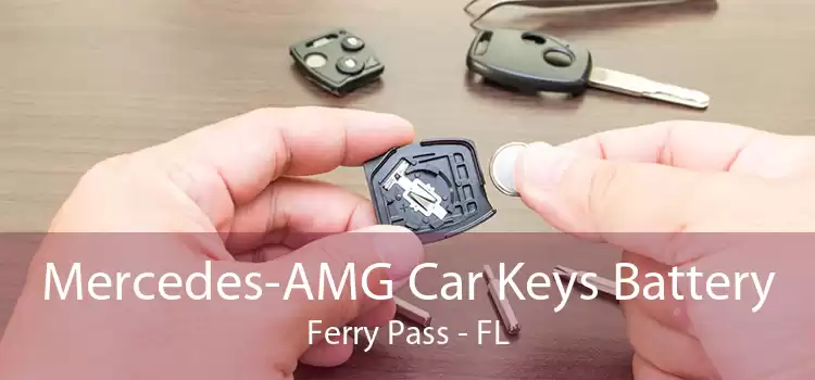 Mercedes-AMG Car Keys Battery Ferry Pass - FL