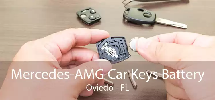 Mercedes-AMG Car Keys Battery Oviedo - FL