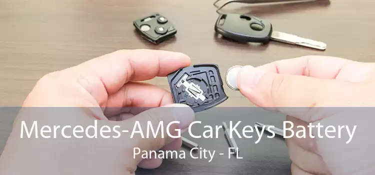 Mercedes-AMG Car Keys Battery Panama City - FL