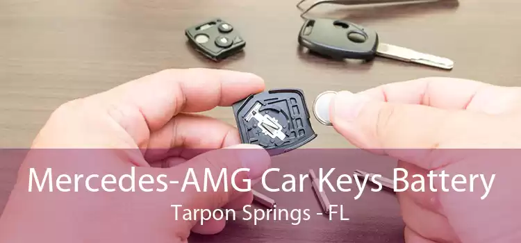 Mercedes-AMG Car Keys Battery Tarpon Springs - FL