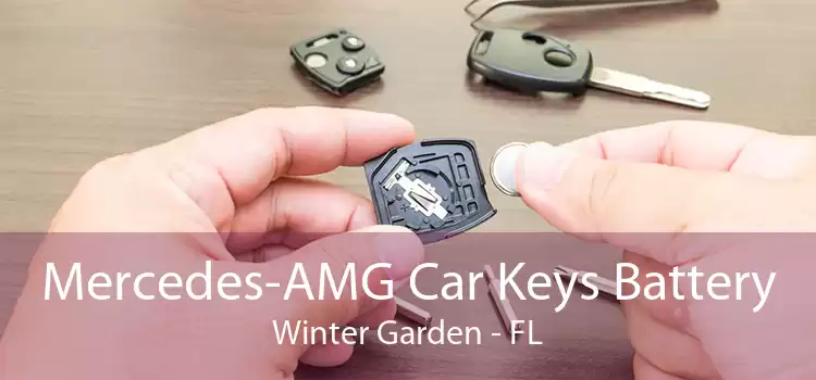 Mercedes-AMG Car Keys Battery Winter Garden - FL