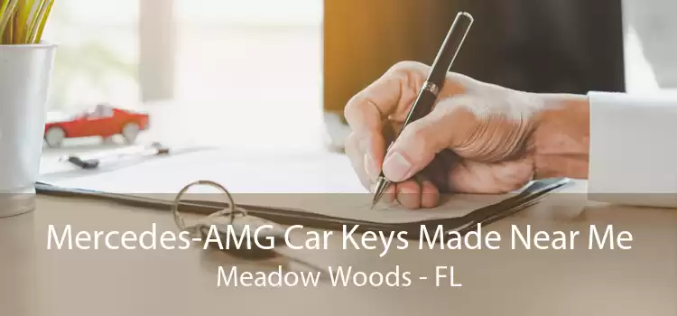 Mercedes-AMG Car Keys Made Near Me Meadow Woods - FL