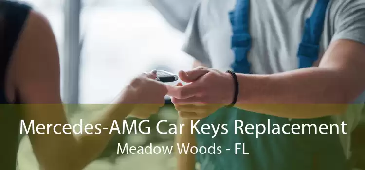 Mercedes-AMG Car Keys Replacement Meadow Woods - FL