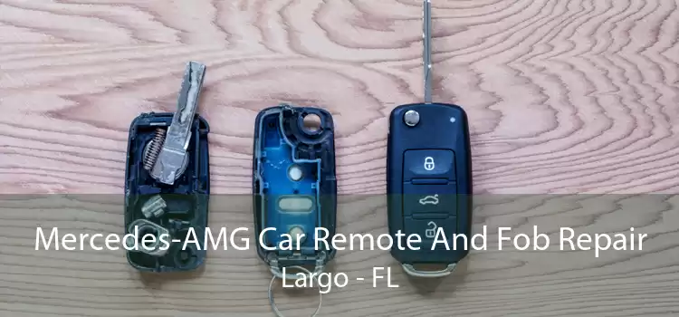 Mercedes-AMG Car Remote And Fob Repair Largo - FL