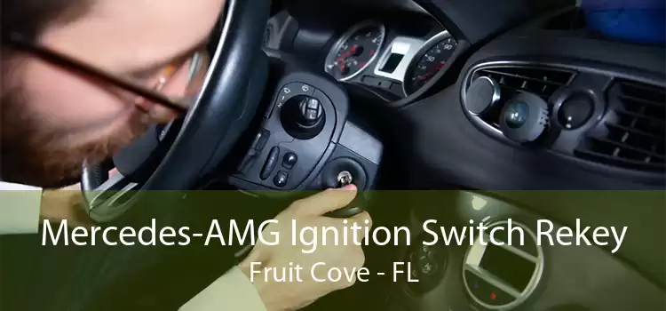 Mercedes-AMG Ignition Switch Rekey Fruit Cove - FL
