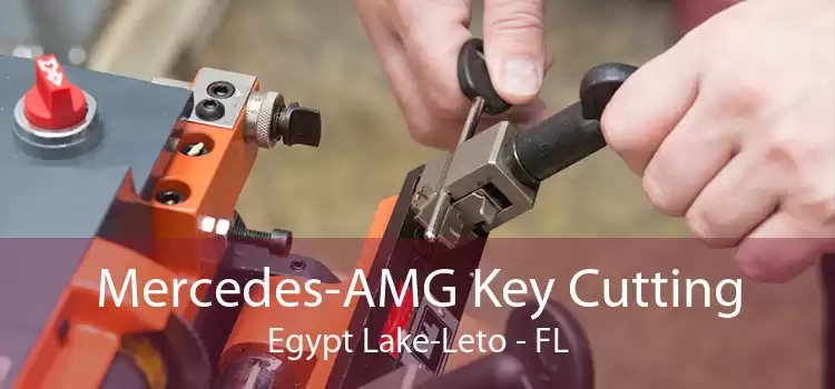 Mercedes-AMG Key Cutting Egypt Lake-Leto - FL