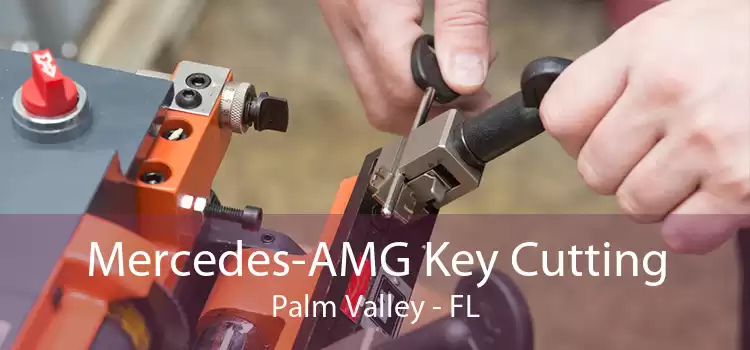 Mercedes-AMG Key Cutting Palm Valley - FL