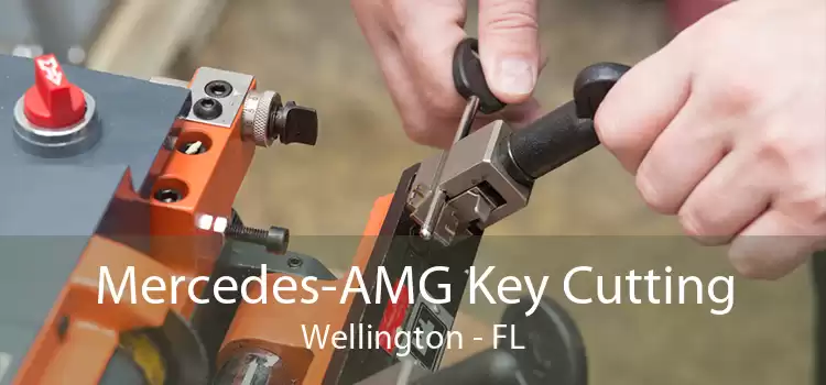 Mercedes-AMG Key Cutting Wellington - FL