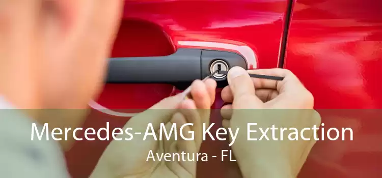 Mercedes-AMG Key Extraction Aventura - FL