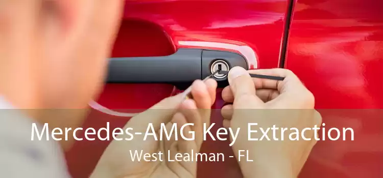 Mercedes-AMG Key Extraction West Lealman - FL