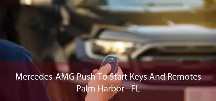 Mercedes-AMG Push To Start Keys And Remotes Palm Harbor - FL