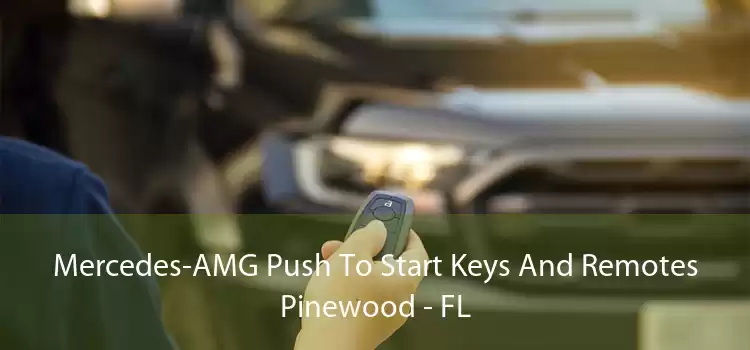 Mercedes-AMG Push To Start Keys And Remotes Pinewood - FL
