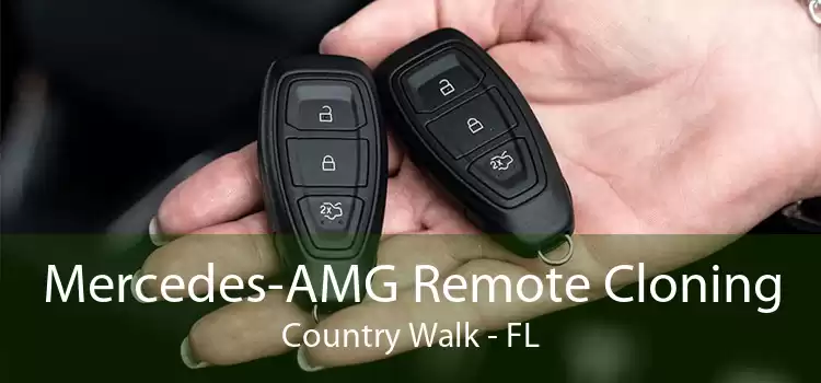 Mercedes-AMG Remote Cloning Country Walk - FL