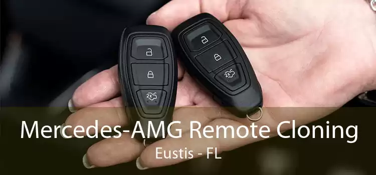 Mercedes-AMG Remote Cloning Eustis - FL
