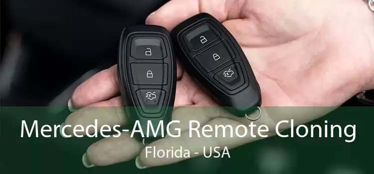 Mercedes-AMG Remote Cloning Florida - USA