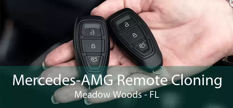 Mercedes-AMG Remote Cloning Meadow Woods - FL