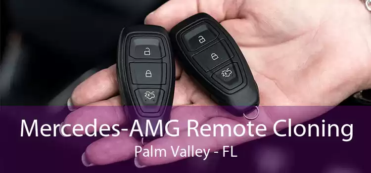 Mercedes-AMG Remote Cloning Palm Valley - FL