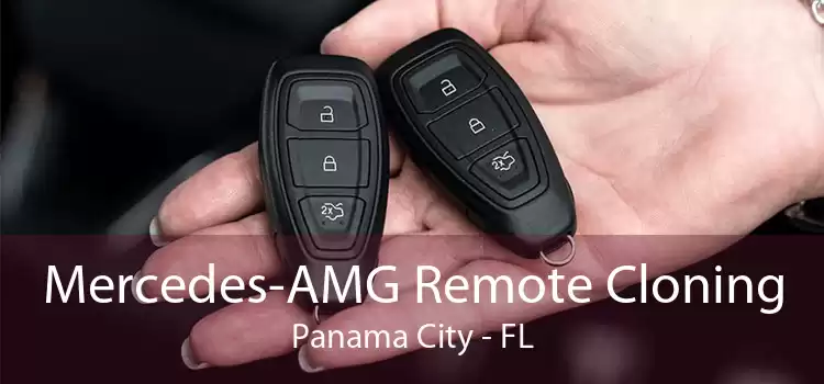 Mercedes-AMG Remote Cloning Panama City - FL
