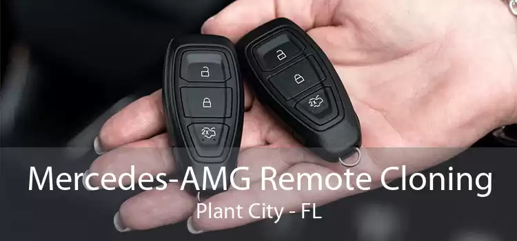 Mercedes-AMG Remote Cloning Plant City - FL