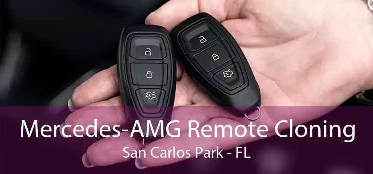 Mercedes-AMG Remote Cloning San Carlos Park - FL