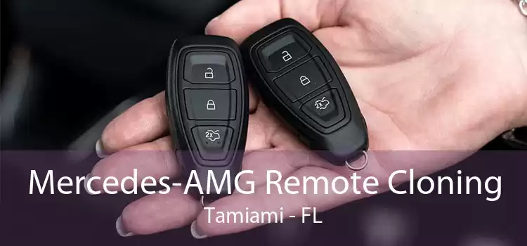 Mercedes-AMG Remote Cloning Tamiami - FL