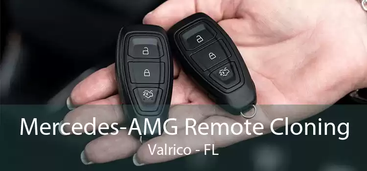 Mercedes-AMG Remote Cloning Valrico - FL
