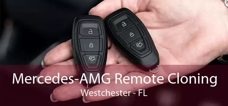 Mercedes-AMG Remote Cloning Westchester - FL
