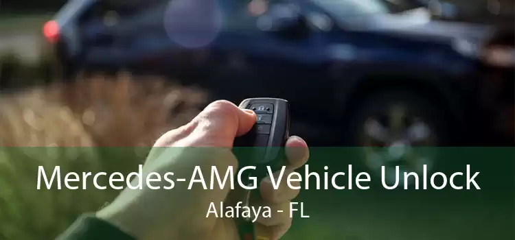 Mercedes-AMG Vehicle Unlock Alafaya - FL