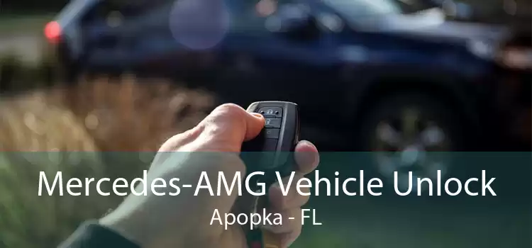 Mercedes-AMG Vehicle Unlock Apopka - FL