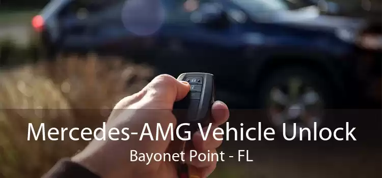 Mercedes-AMG Vehicle Unlock Bayonet Point - FL