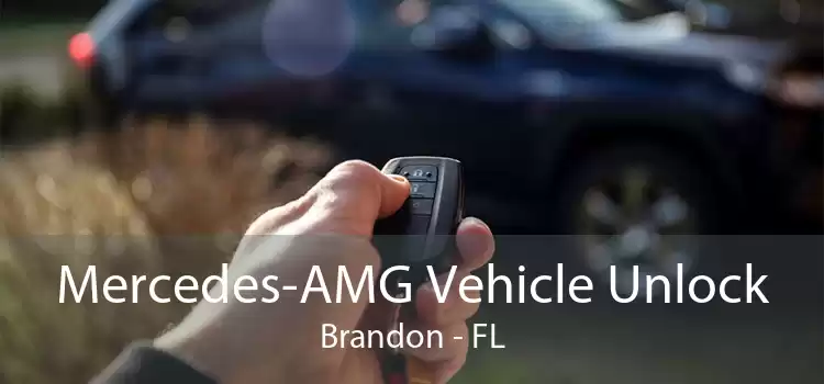 Mercedes-AMG Vehicle Unlock Brandon - FL