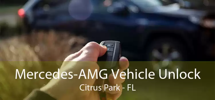 Mercedes-AMG Vehicle Unlock Citrus Park - FL