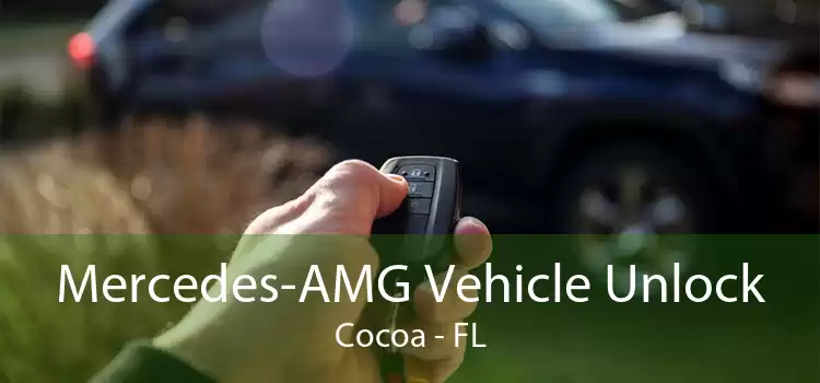 Mercedes-AMG Vehicle Unlock Cocoa - FL